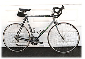 Quantum Q74s Bike